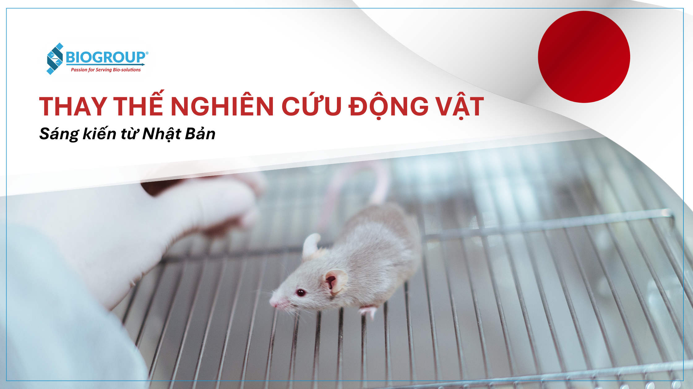 Nhật Bản đề cao tính tự nguyện trong thay thế nghiên cứu động vật